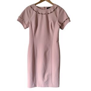 Rickie Freeman Teri John Blush Dress Size 6